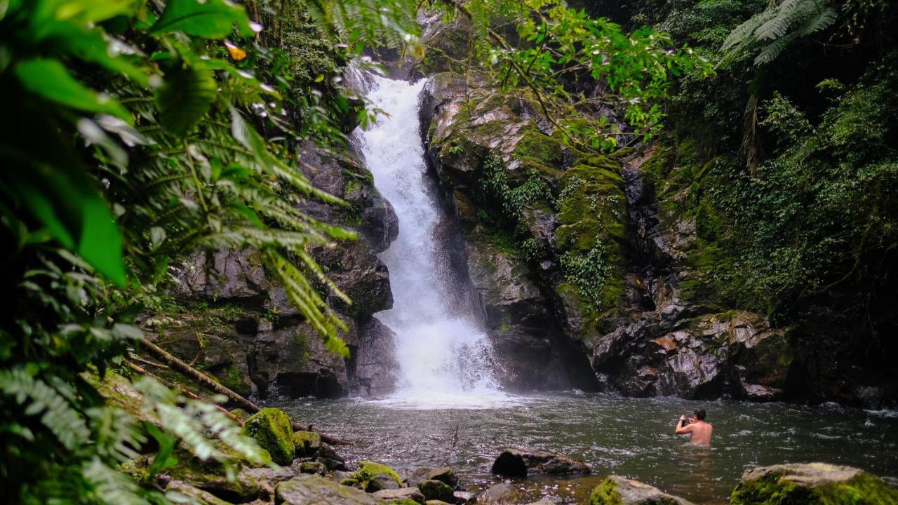 Pousada Salve Floresta Tapiraí Exterior foto