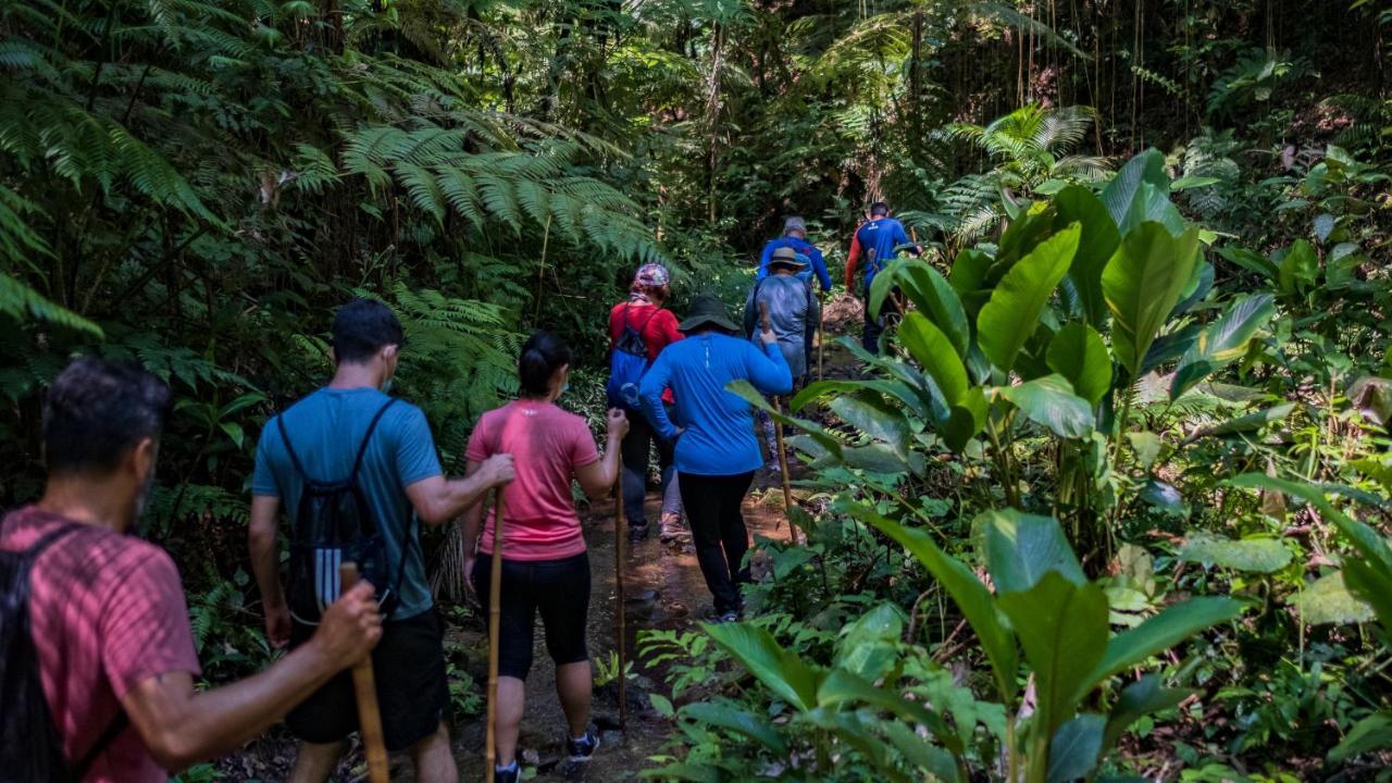 Pousada Salve Floresta Tapiraí Exterior foto